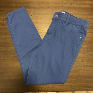 Artisan NY Blue Pants